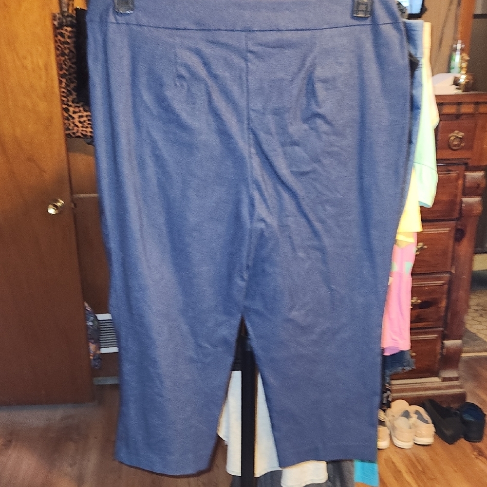 Blue Cropped Pants